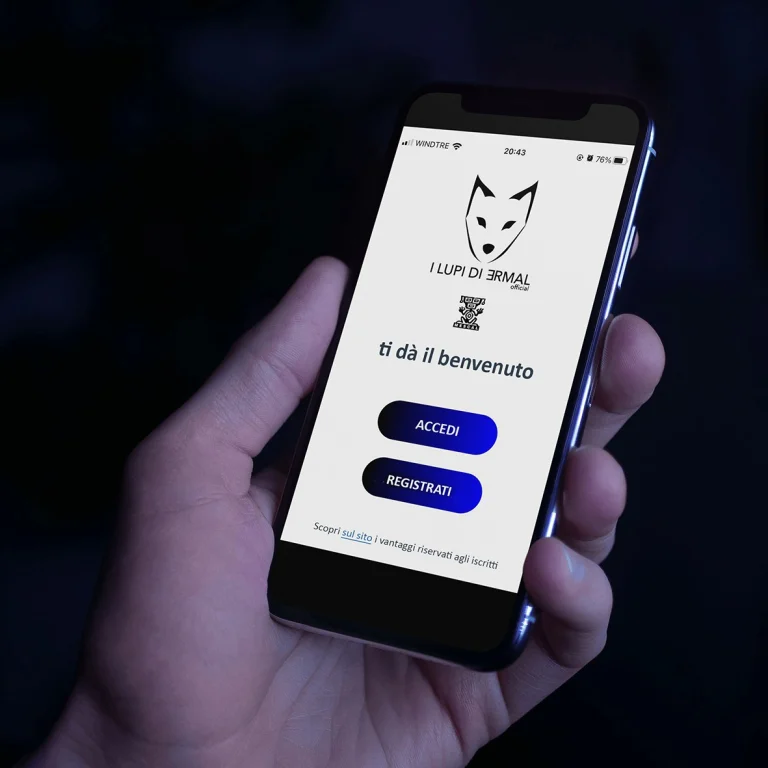 Mockup of the Ermal Meta project on a smartphone